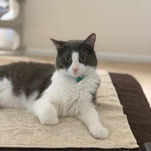 Meet your Posher, Lynette